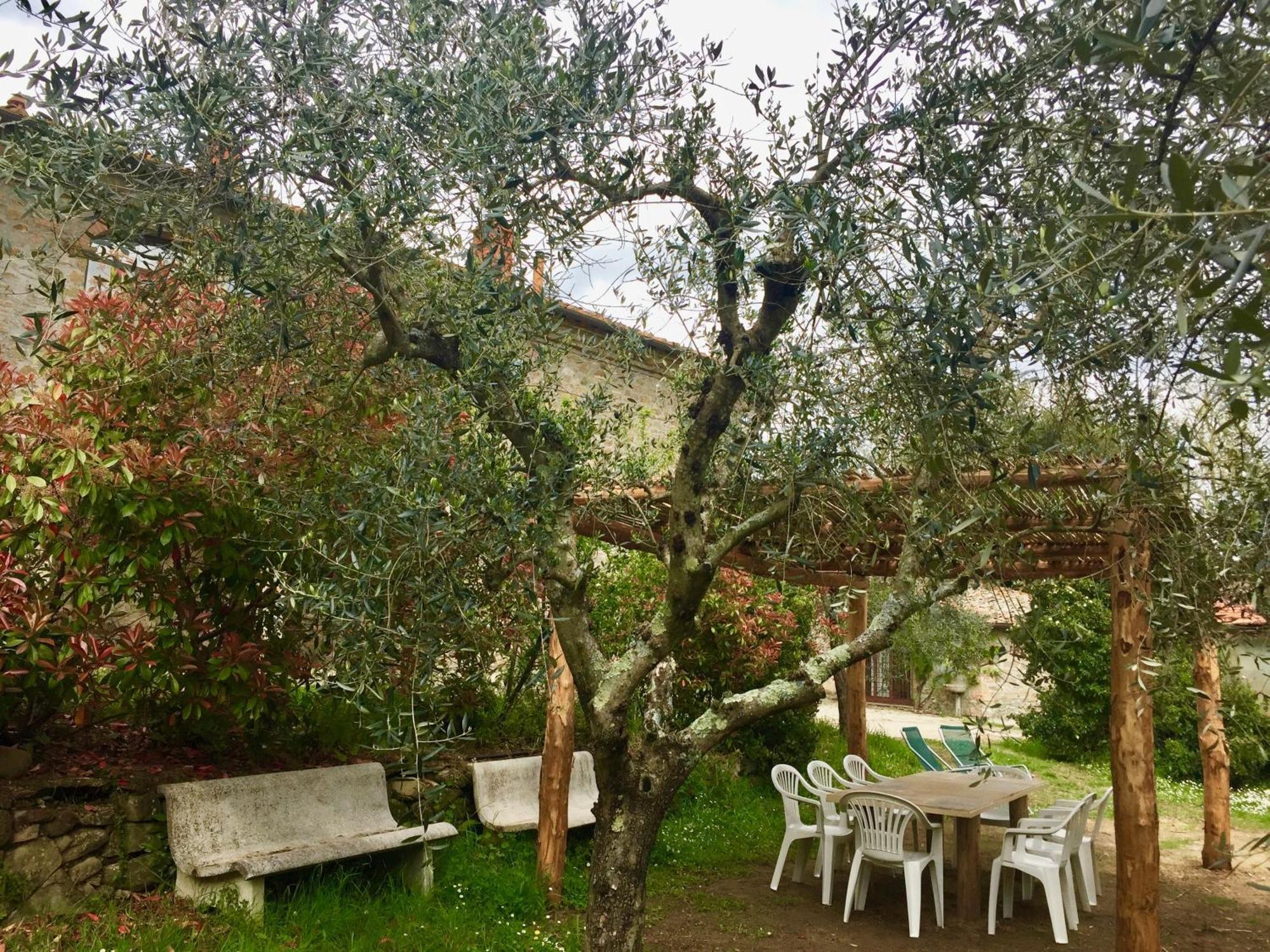 Agriturismo Fattoria Celle 菲利内瓦尔达诺 客房 照片