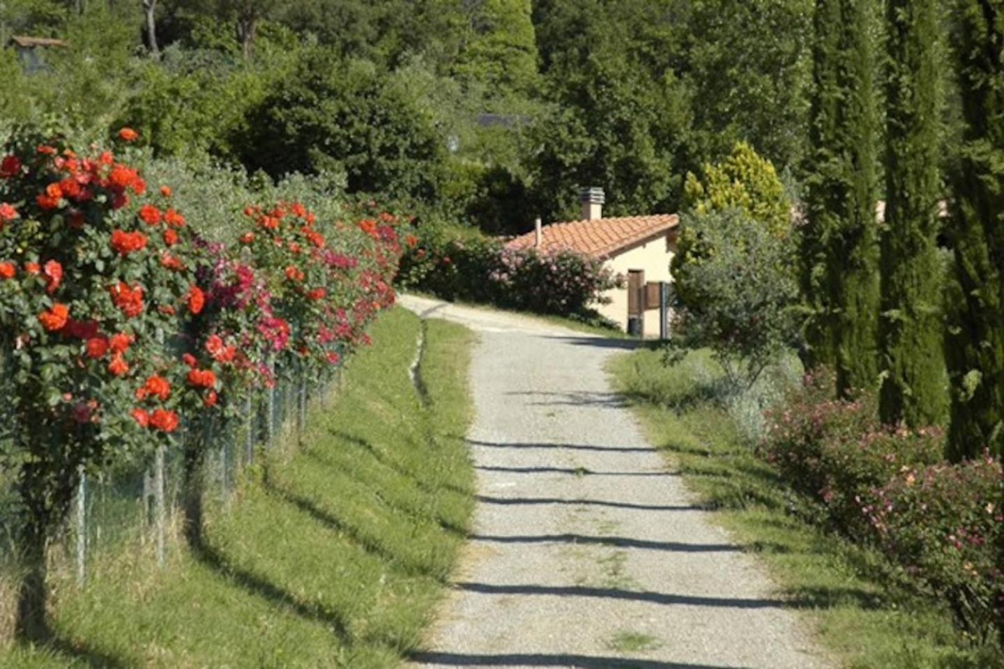 Agriturismo Fattoria Celle 菲利内瓦尔达诺 客房 照片